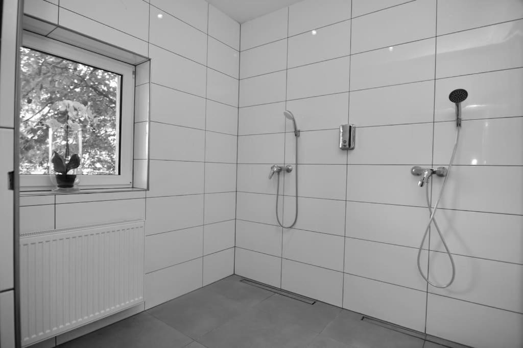 Fetischhaus Sm Apartment/Ferienwohnung Wiesbaden Exterior photo